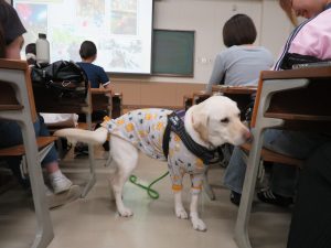IMG_1329