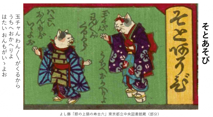 hiza6