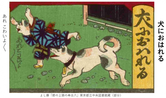 hiza7