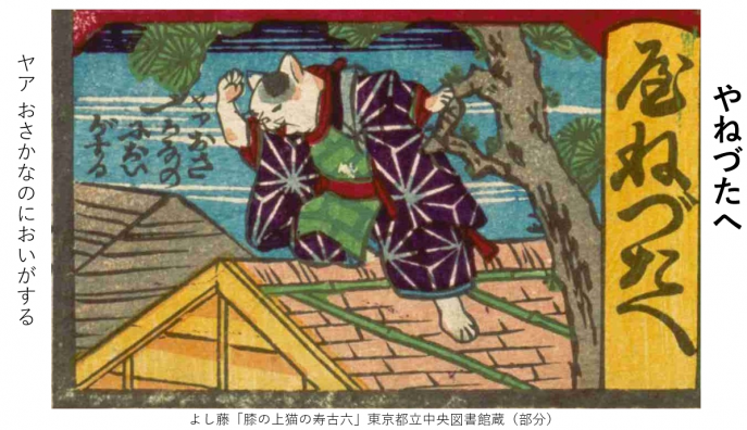 hiza8